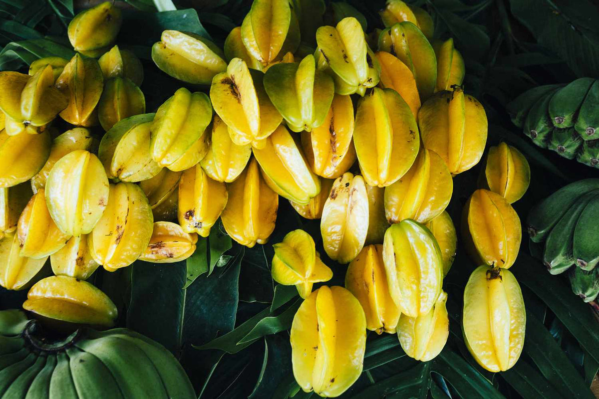 Star fruit seeds for planting to grow a tropical carambola fruit tree with lush green foliage and distinctive golden star-shaped fruits.