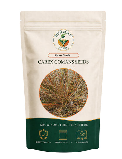 Carex Comans Grass Seeds for Planting with fine green ornamental foliage