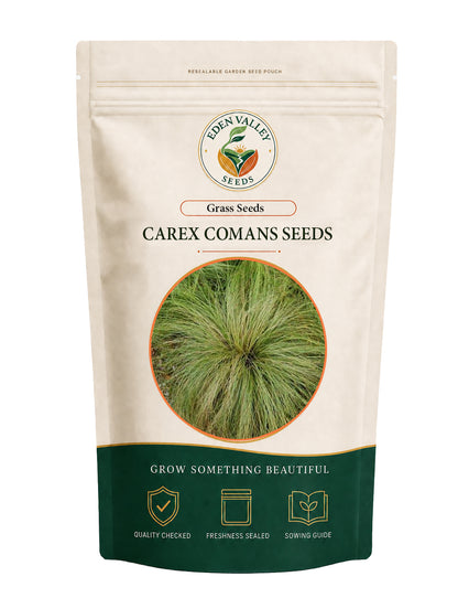 Carex Comans Green Grass Seeds with graceful, fine-textured green blades