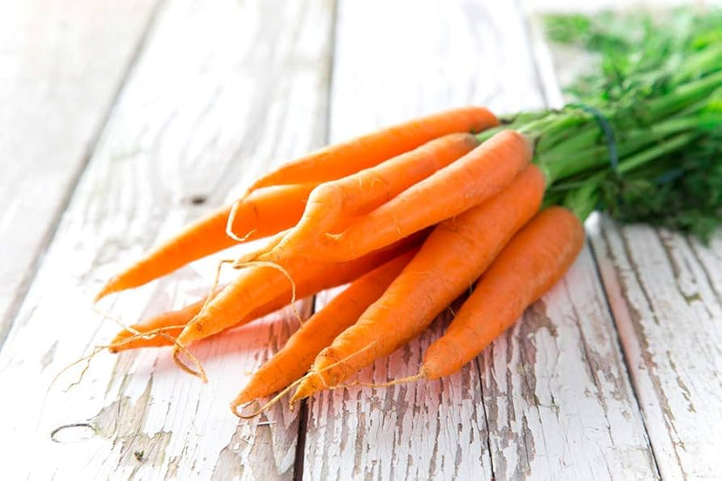 Carrot Vegetable Seeds for Planting – Heirloom Non-GMO Garden Seeds