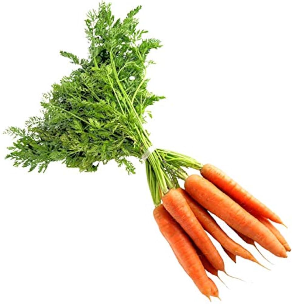 Carrot Seeds