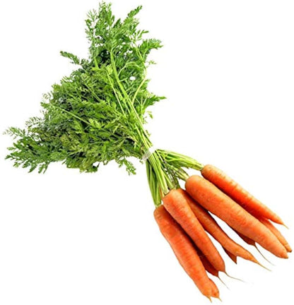 Carrot Seeds