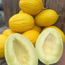 yellow casaba melon seeds