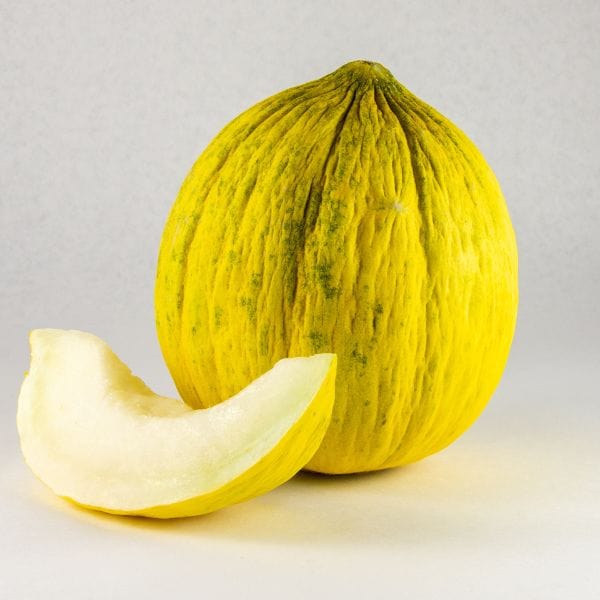 casaba melon seeds
