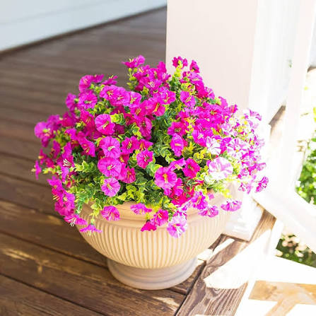 Pink Cascading Blooms on Patio Garden Display