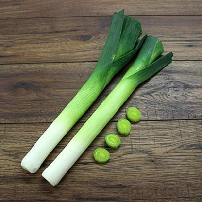 casimir leek seeds