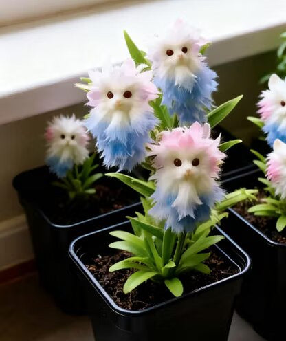 Blue Cat’s Eye Dazzle flower seeds product listing with blue flower imagery; actual flower appearance and botanical identity require verification.