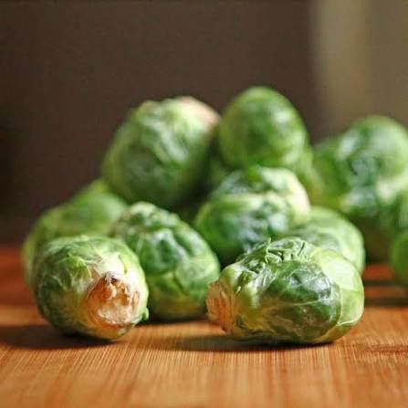 Catskill Brussels Sprouts plant with large firm green sprouts growing along the stalk