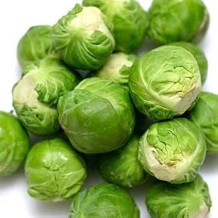 Catskill Brussels Sprouts vegetable seeds for planting in home gardens