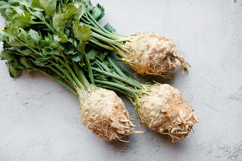 Celeriac Seeds for planting with mature celery root vegetables growing in a home garden