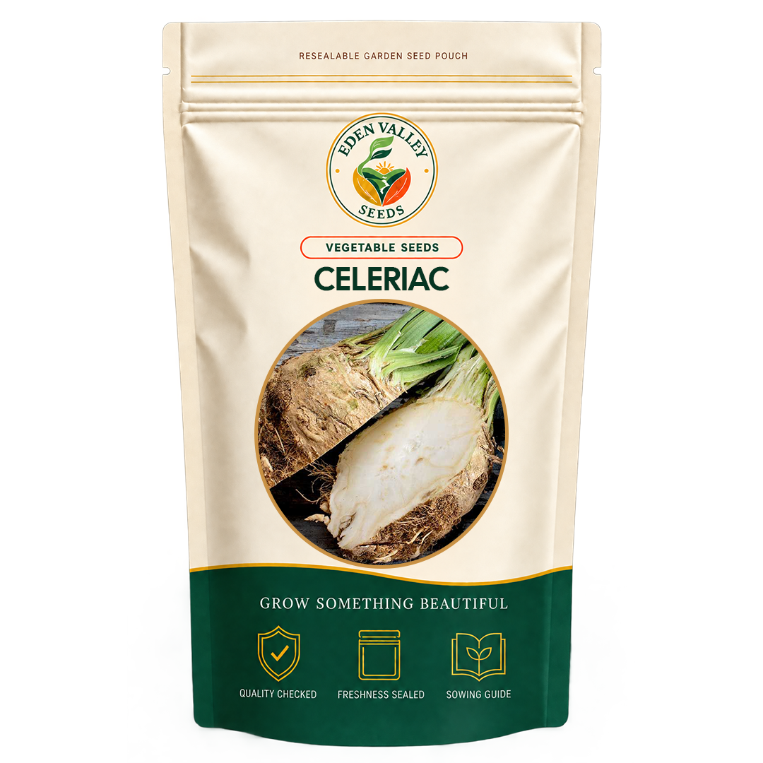 Celeriac Vegetable Seeds for home gardens
