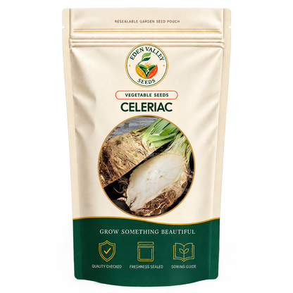 Celeriac Vegetable Seeds for home gardens
