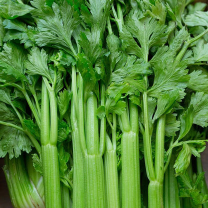 Celery Seeds
