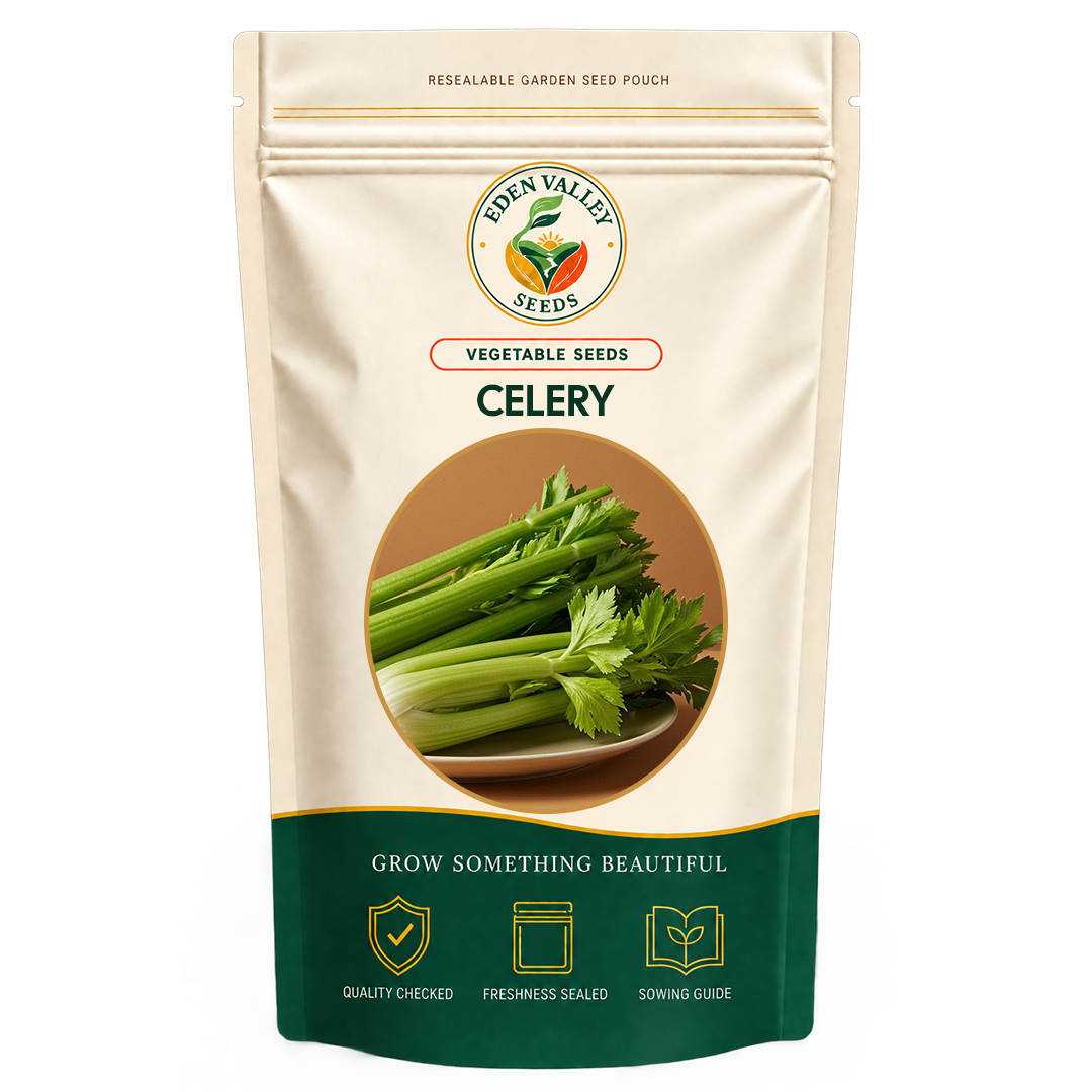 Celery Seeds for planting