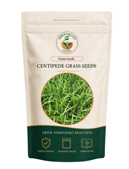 Centipede Grass Seeds for Planting for growing lush green lawn grass