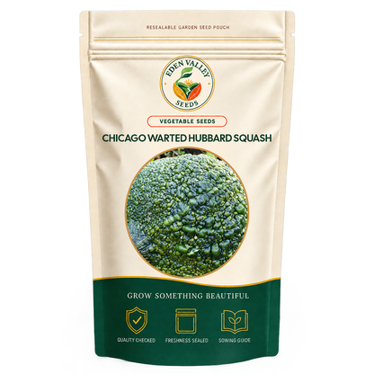 Chicago Warted Hubbard Squash Seeds for planting