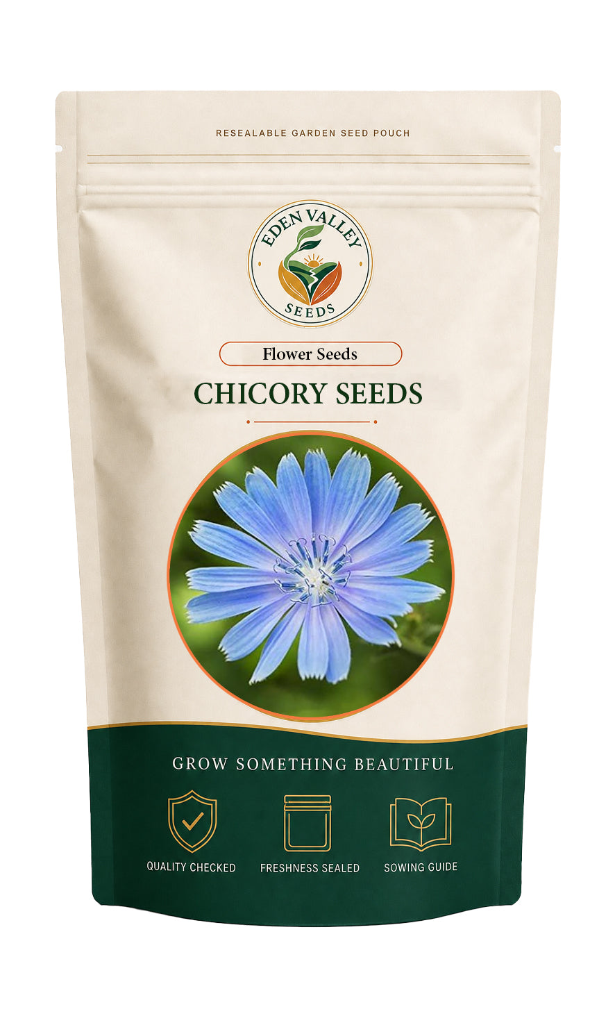 Chicory Flower Seeds with delicate blue blooms and green foliage
