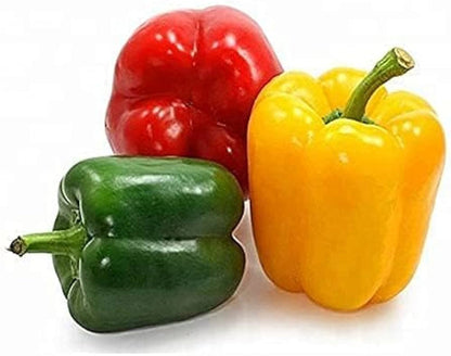 Chili Pie Bell Pepper Seeds for Planting – Heirloom Non-GMO Garden Seeds