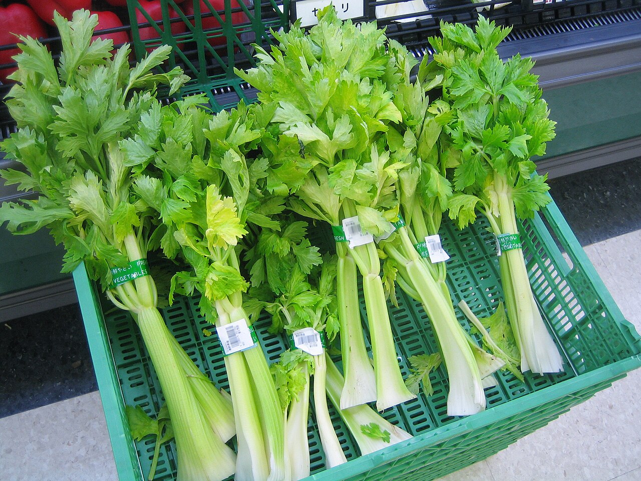 Chinese Celery Herb Seeds for planting with fresh green celery foliage