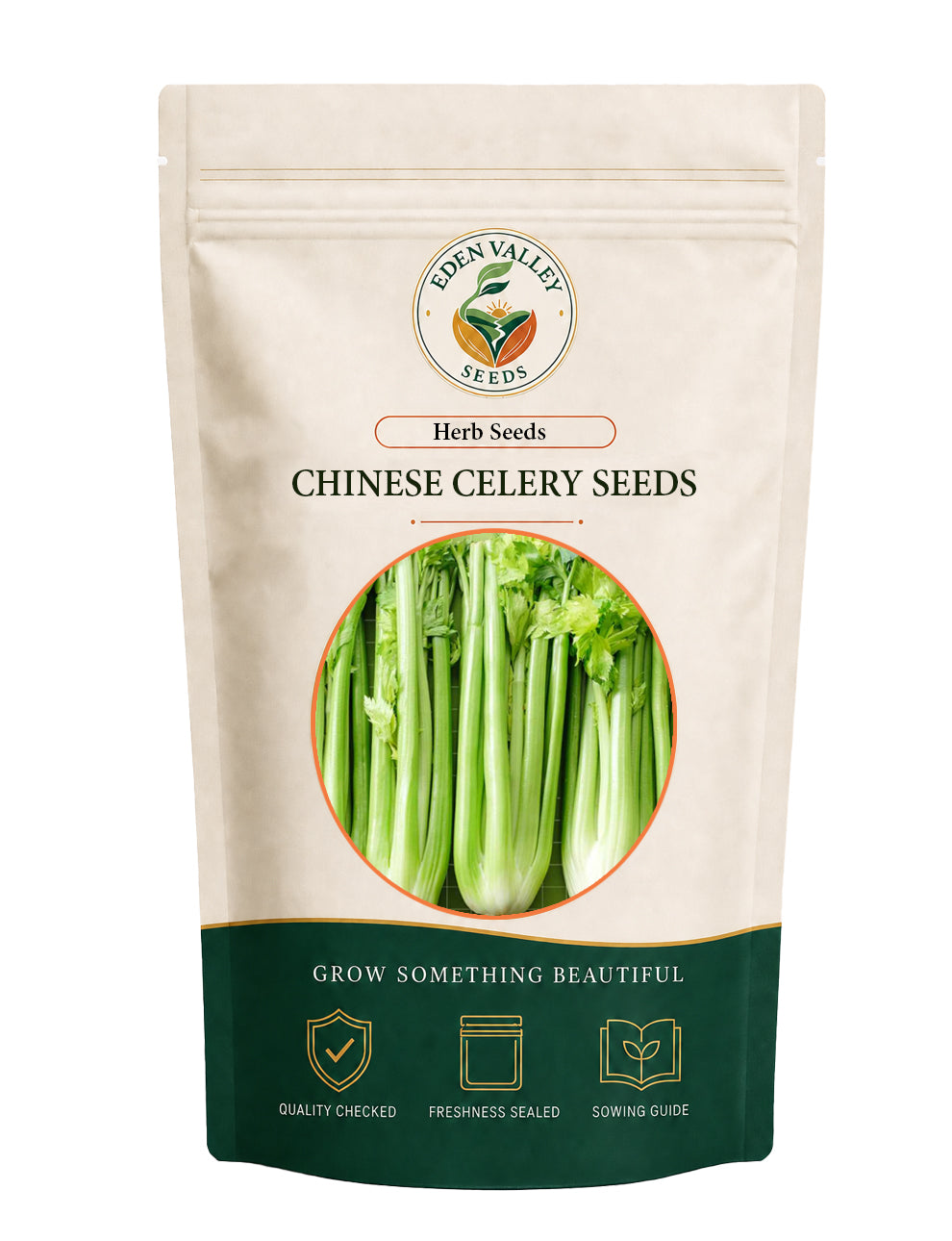 Chinese Celery Herb Seeds for Planting with fresh green leafy growth