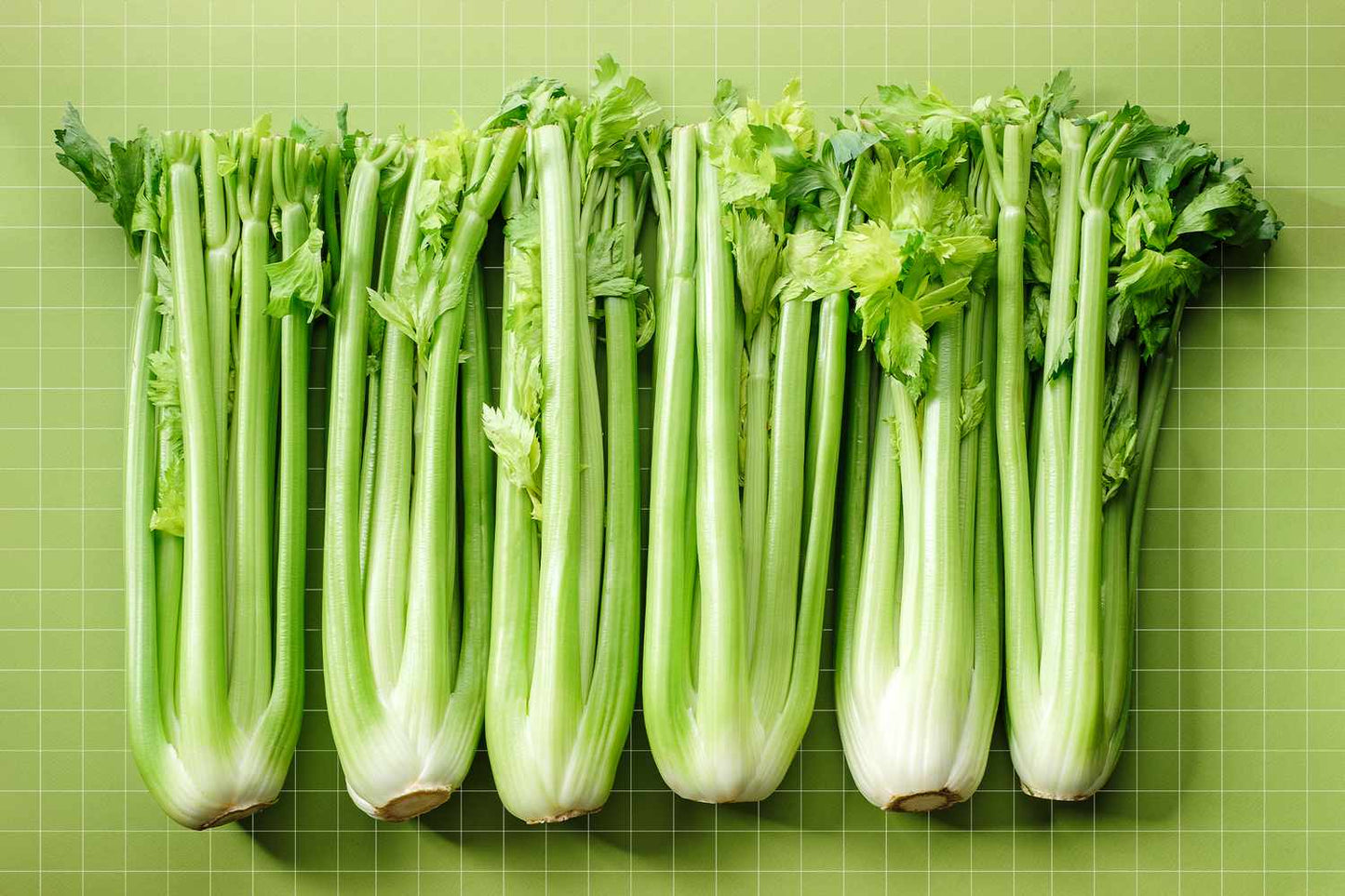 Chinese Celery Herb Seeds for planting with fresh green celery foliage