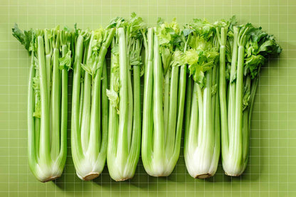 Chinese Celery Herb Seeds for planting with fresh green celery foliage