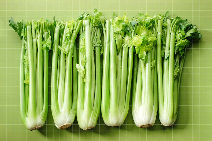 Chinese Celery Herb Seeds for planting with fresh green celery foliage