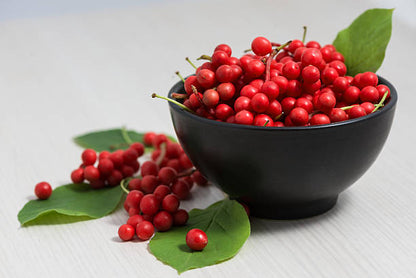 Schisandra chinensis seeds for planting – Chinese magnolia vine seeds
