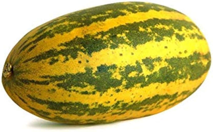 Chinese Yellow Cucumber Seeds