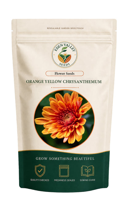 Chrysanthemum Orange Yellow Flower Seeds for planting