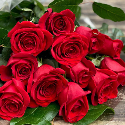 Red Rose flower seeds