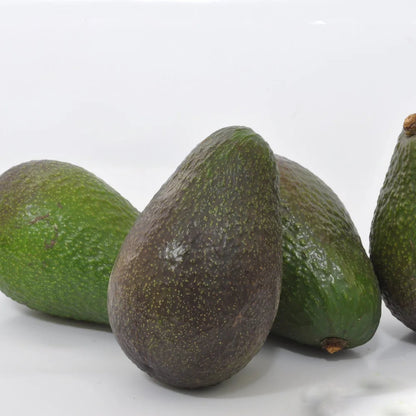 Cleopatra avocado fruit seeds for planting, showing a fresh avocado seed, young green seedling, and glossy foliage for home garden growing.