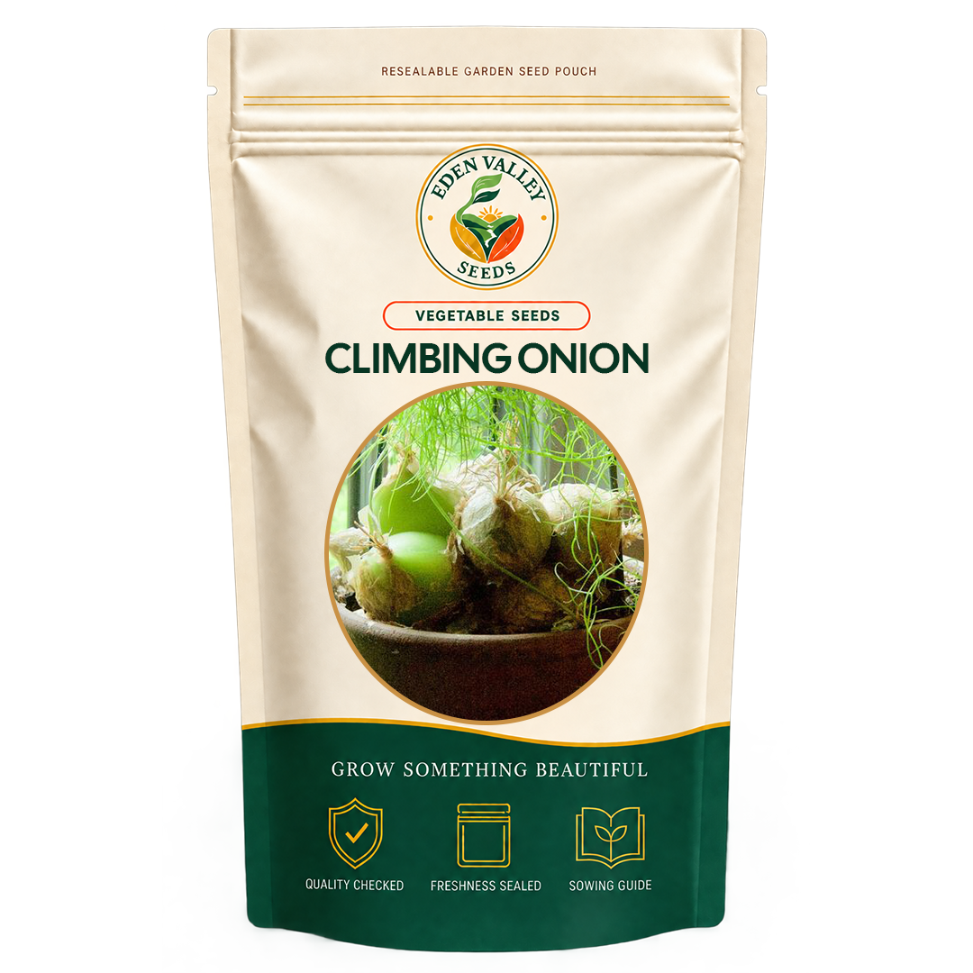 Climbing Onion Vegetable Seeds for home gardens