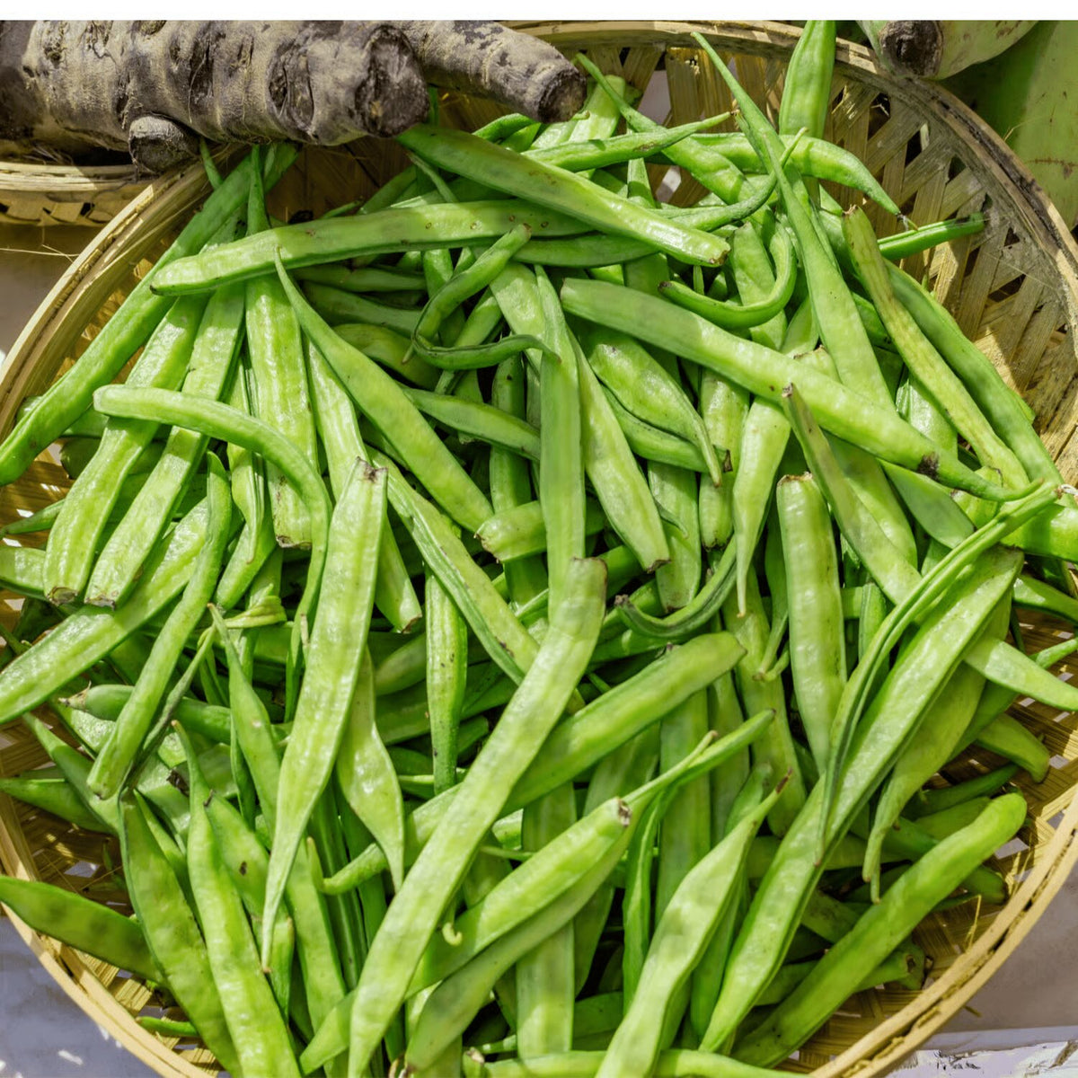 Cluster beans seeds for planting in home vegetable garden