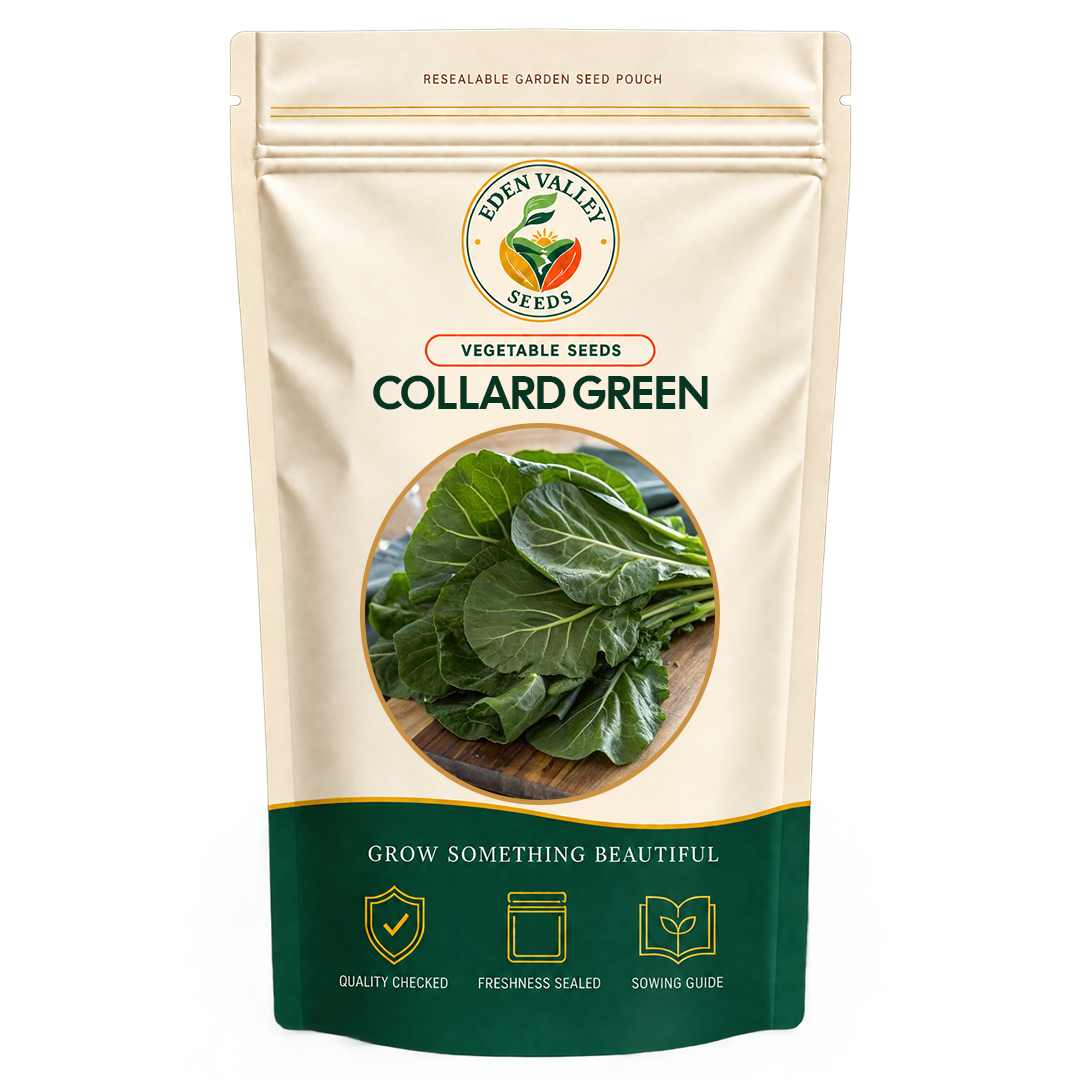 Collard Greens Seeds for planting