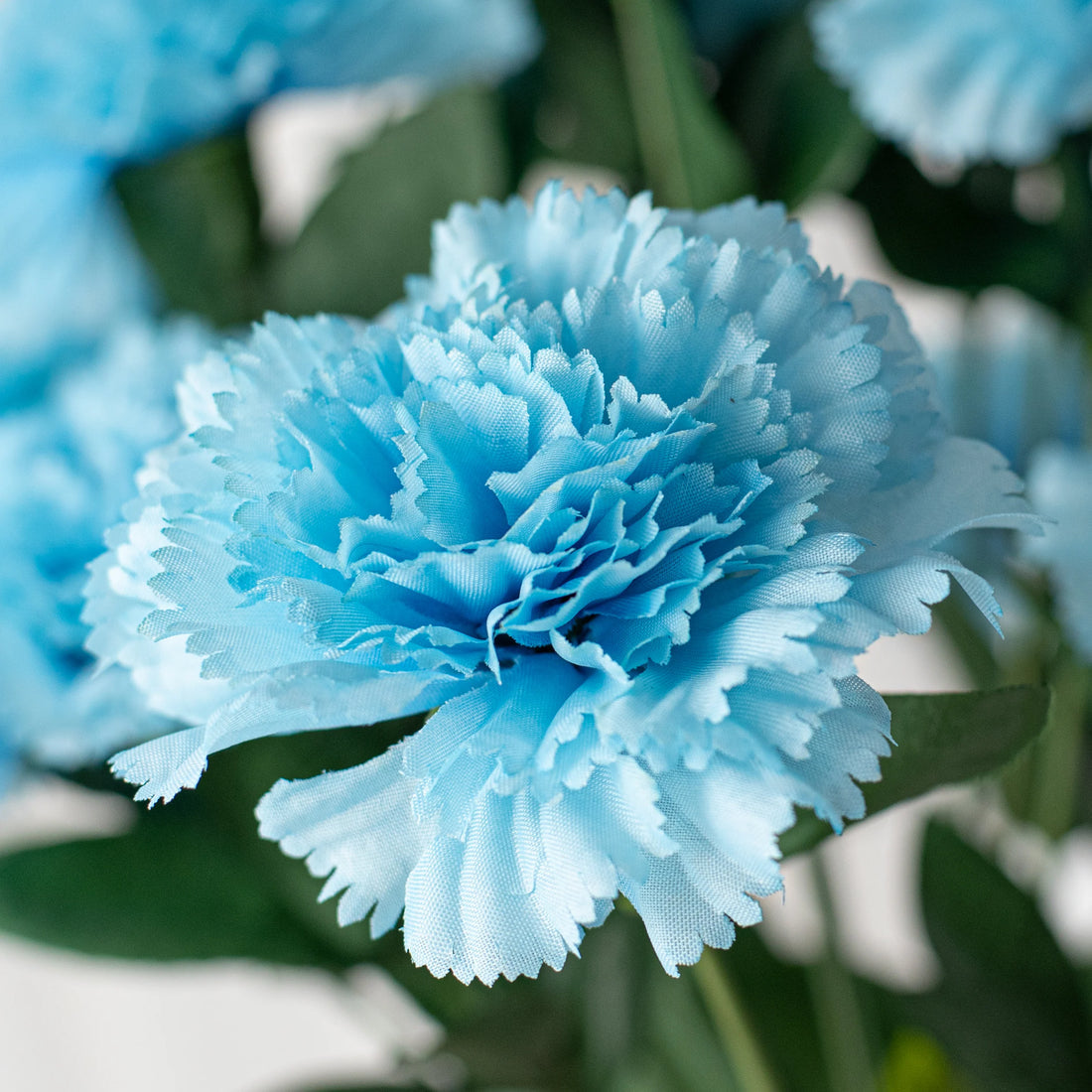 Sky Blue flower seeds