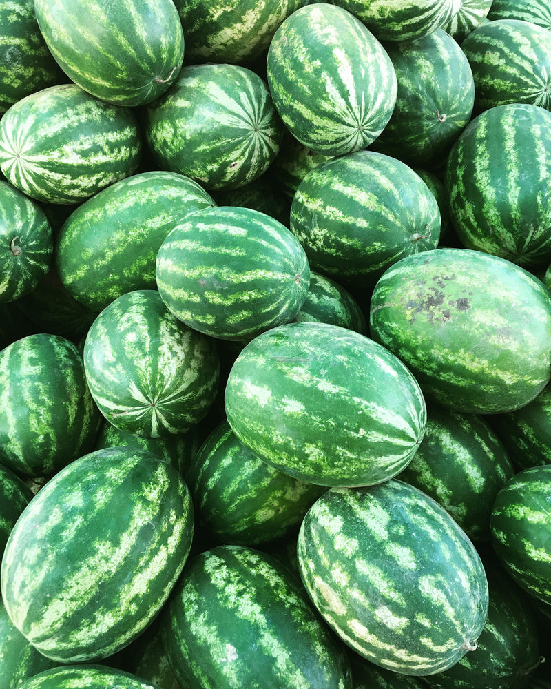 Congo Watermelon Citrullus lanatus Fruit Seeds for Planting – Heirloom Non-GMO Garden Seeds