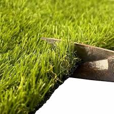 Couch Grass Growing Across Open Landscape Area