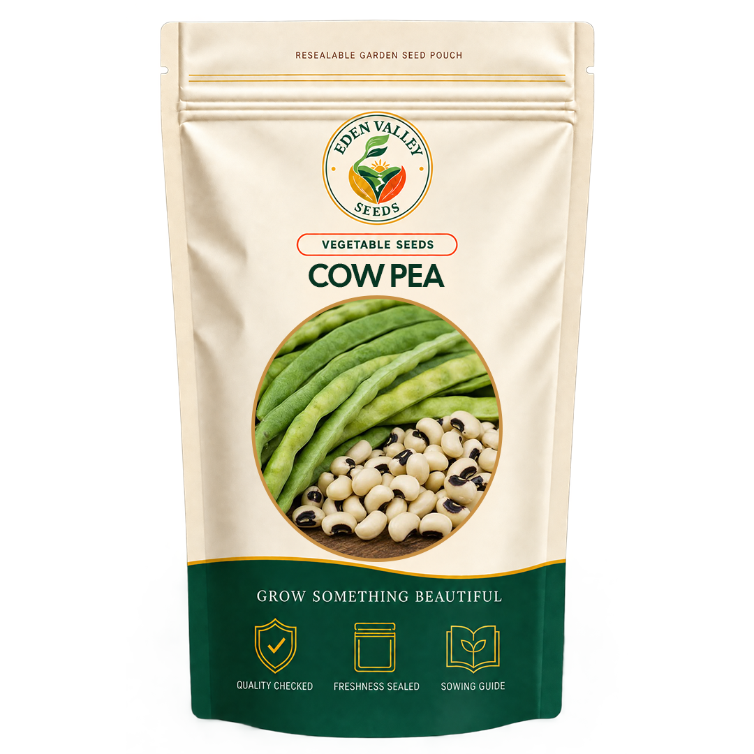 Cowpea Vegetable Seeds for home gardens