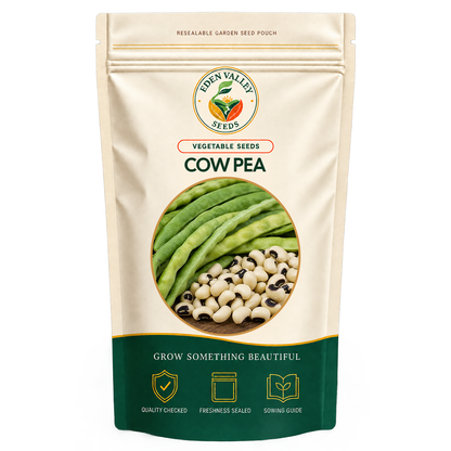 Cowpea Vegetable Seeds for home gardens