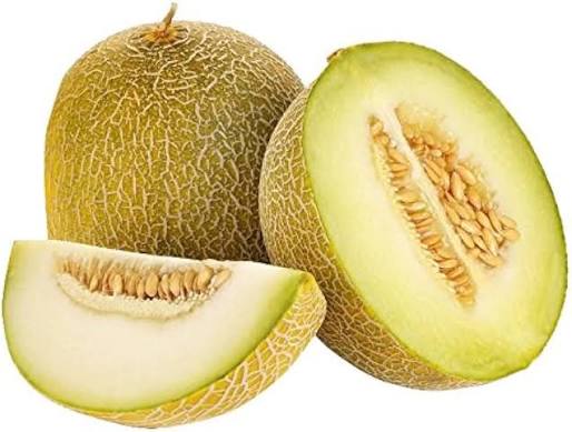 Cream Cantaloupe Fruit Seeds for Planting