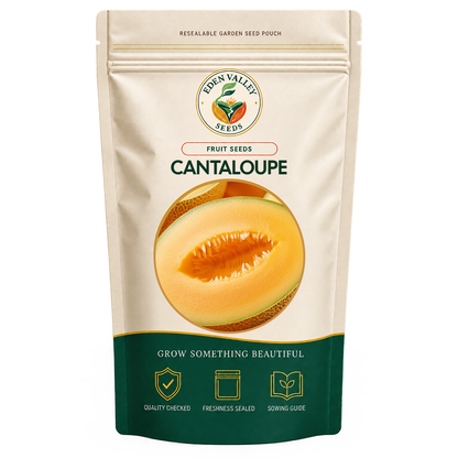 Cream Cantaloupe Seeds for home gardens