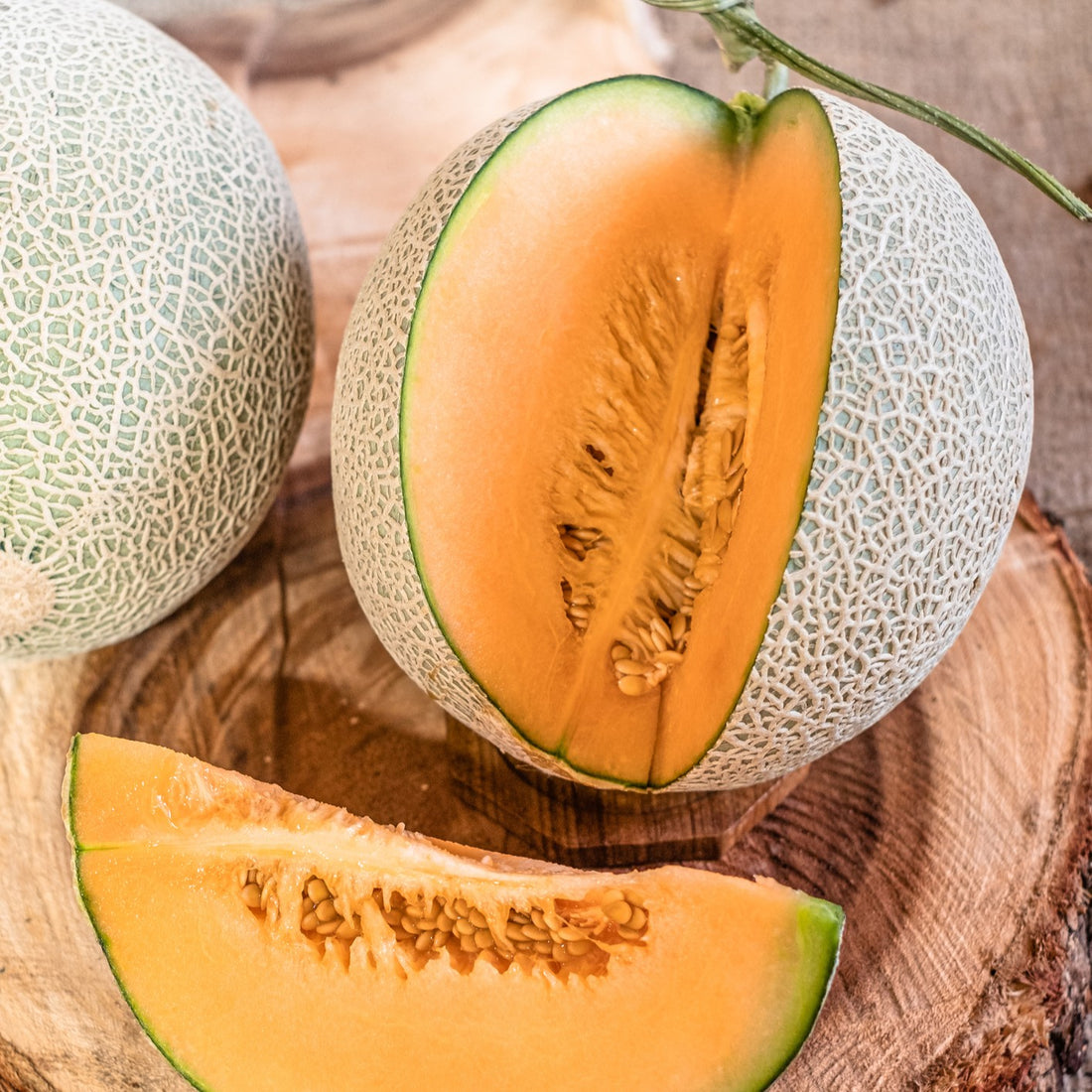 Cream Cantaloupe Fruit Seeds for Planting