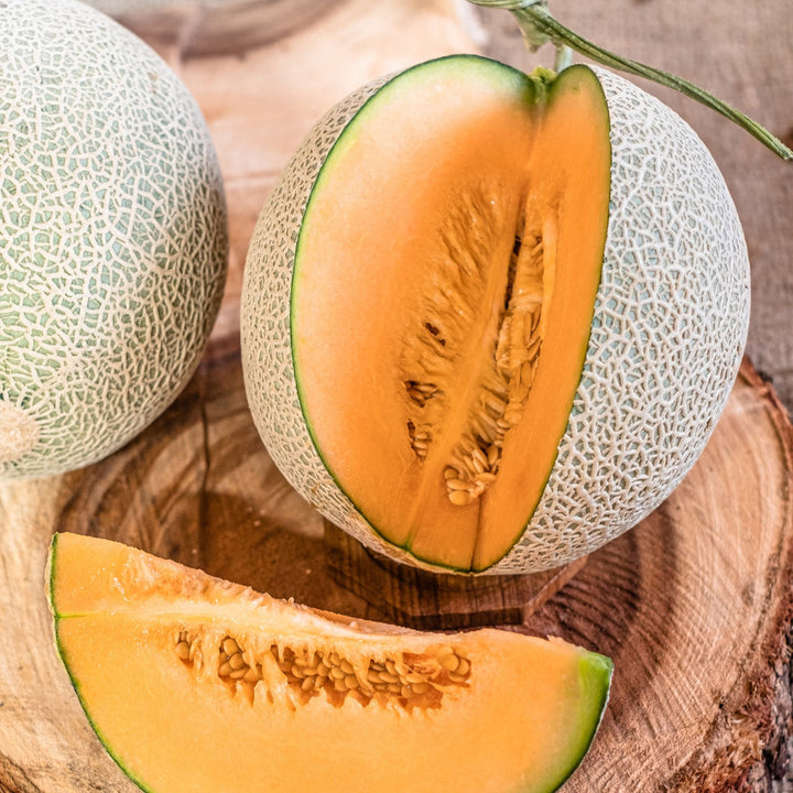 Cream Cantaloupe Fruit Seeds for Planting