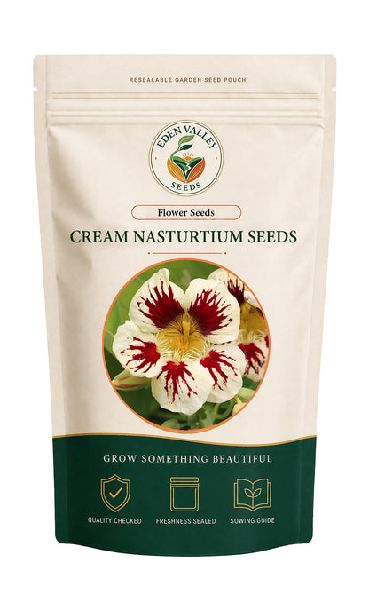 Cream Nasturtium Flower Seeds for planting