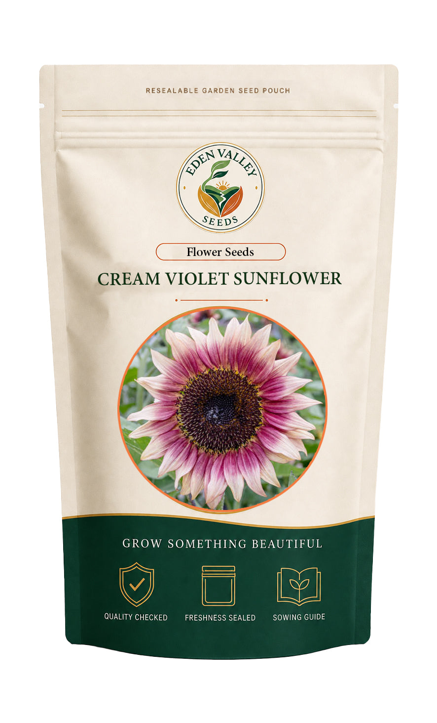 Cream Violet Sunflower flowers blooming in a garden