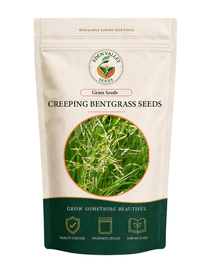 Creeping Bentgrass Seeds for Planting for growing fine-textured green turf