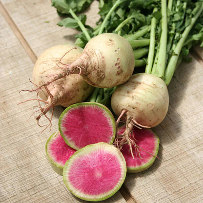 Watermelon Radish Seeds