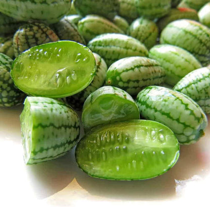Cucamelon Fruit Seeds for Planting – Heirloom Non-GMO Garden Seeds