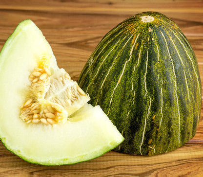 Piel de Sapo Melon Cucumis melo Fruit Seeds for Planting – Heirloom Non-GMO Garden Seeds